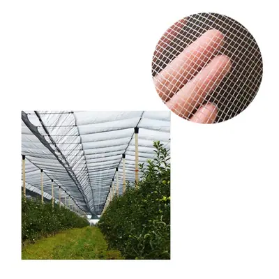 HDPE White Large Hail protection Net Anti Hail for apple
