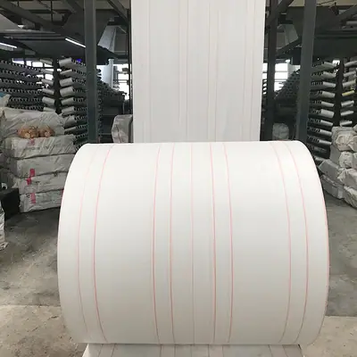 Laminated PP Woven Bag with PE Coating Waterproof 